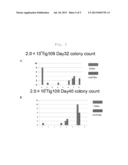 METHOD OF EFFICIENTLY ESTABLISHING INDUCED PLURIPOTENT STEM CELLS diagram and image