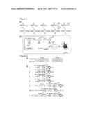 Methods for Incorporating Unnatural Amino Acids in Eukaryotic Cells diagram and image