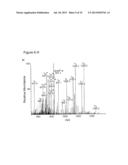 Methods for Incorporating Unnatural Amino Acids in Eukaryotic Cells diagram and image