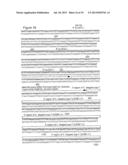 Methods for Incorporating Unnatural Amino Acids in Eukaryotic Cells diagram and image