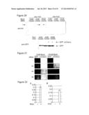 Methods for Incorporating Unnatural Amino Acids in Eukaryotic Cells diagram and image