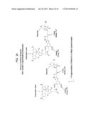 ANALYTE DETERMINATION UTILIZING MASS TAGGING REAGENTS COMPRISING A     NON-ENCODED DETECTABLE LABEL diagram and image