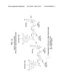 ANALYTE DETERMINATION UTILIZING MASS TAGGING REAGENTS COMPRISING A     NON-ENCODED DETECTABLE LABEL diagram and image