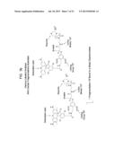 ANALYTE DETERMINATION UTILIZING MASS TAGGING REAGENTS COMPRISING A     NON-ENCODED DETECTABLE LABEL diagram and image