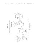 ANALYTE DETERMINATION UTILIZING MASS TAGGING REAGENTS COMPRISING A     NON-ENCODED DETECTABLE LABEL diagram and image