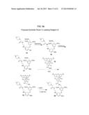 ANALYTE DETERMINATION UTILIZING MASS TAGGING REAGENTS COMPRISING A     NON-ENCODED DETECTABLE LABEL diagram and image