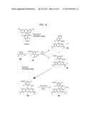 ANALYTE DETERMINATION UTILIZING MASS TAGGING REAGENTS COMPRISING A     NON-ENCODED DETECTABLE LABEL diagram and image