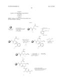 GLP-1 RECEPTOR AGONIST COMPOUNDS HAVING STABILIZED REGIONS diagram and image