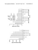 OLIGO-BENZAMIDE COMPOUNDS FOR USE IN TREATING CANCERS diagram and image