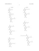 OLIGO-BENZAMIDE COMPOUNDS FOR USE IN TREATING CANCERS diagram and image