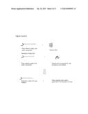 Process for Producing High-Yield Biodiesel Applying High Acidity     Triglycerides with Generation of Glycerin 90% Free of Salts diagram and image