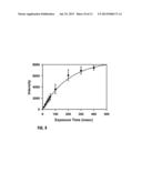 DEVICE FOR SIMULATING EXPLOSIVE BLAST AND IMAGING BIOLOGICAL SPECIMEN diagram and image