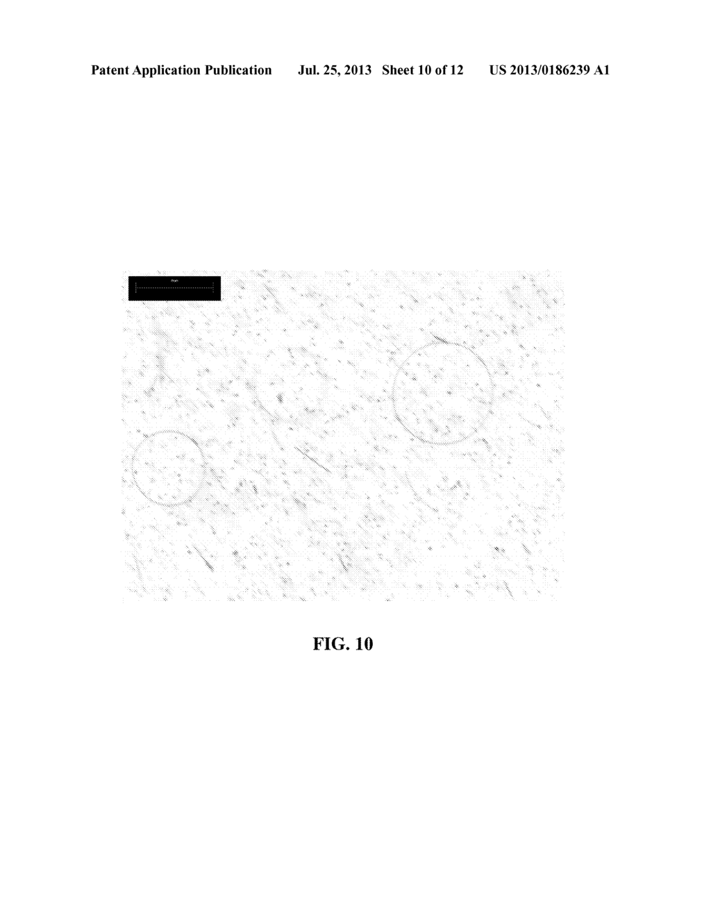 NANOWIRE RING PREPARATION METHODS, COMPOSITIONS, AND ARTICLES - diagram, schematic, and image 11