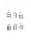 Non-Volatile Memory Cell Containing a Nano-Rail Electrode diagram and image