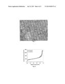 POROUS POLYMER MATERIAL diagram and image