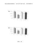 CELLULAR THERAPEUTIC AGENT FOR INCONTINENCE OR URINE COMPRISING STEM CELLS     ORIGINATED FROM DECIDUA OR ADIPOSE diagram and image