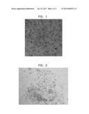 METHOD FOR USING DIRECTING CELLS FOR SPECIFIC STEM/PROGENITOR CELL     ACTIVATION AND DIFFERENTIATION diagram and image