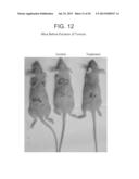 CO-ENZYME Q10 FORMULATIONS AND METHODS OF USE diagram and image