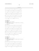 Human Tissue Factor Antibody and Uses Thereof diagram and image