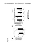 VACCINE FOR TREATMENT OF TAUTOPATHY diagram and image
