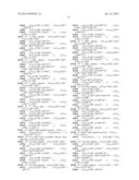 BETA-HAIRPIN PEPTIDOMIMETICS diagram and image