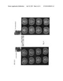 FERTILISATION INDEPENDENT FRUIT FORMATION IN TOMATO diagram and image