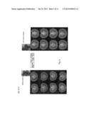 FERTILISATION INDEPENDENT FRUIT FORMATION IN TOMATO diagram and image