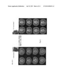 FERTILISATION INDEPENDENT FRUIT FORMATION IN TOMATO diagram and image