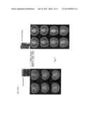 FERTILISATION INDEPENDENT FRUIT FORMATION IN TOMATO diagram and image