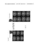 FERTILISATION INDEPENDENT FRUIT FORMATION IN TOMATO diagram and image