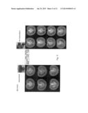 FERTILISATION INDEPENDENT FRUIT FORMATION IN TOMATO diagram and image