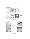 FABRICATION OF CELLULOSE POLYMER COMPOSITES AND THEIR APPLICATION AS SOLID     ELECTROLYTES diagram and image