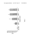 MACROPHAGE MIGRATION INHIBITORY FACTOR (MIF) PROMOTER POLYMORPHISM IN     INFLAMMATORY DISEASE diagram and image