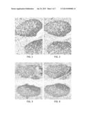 POLYMER STABILIZATION OF CHROMOGEN SOLUTIONS diagram and image