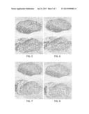 POLYMER STABILIZATION OF CHROMOGEN SOLUTIONS diagram and image