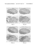 POLYMER STABILIZATION OF CHROMOGEN SOLUTIONS diagram and image