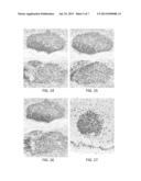 POLYMER STABILIZATION OF CHROMOGEN SOLUTIONS diagram and image