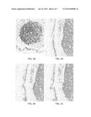 POLYMER STABILIZATION OF CHROMOGEN SOLUTIONS diagram and image