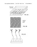 RARE CELL ANALYSIS USING SAMPLE SPLITTING AND DNA TAGS diagram and image