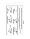 RARE CELL ANALYSIS USING SAMPLE SPLITTING AND DNA TAGS diagram and image