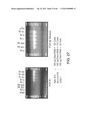 RARE CELL ANALYSIS USING SAMPLE SPLITTING AND DNA TAGS diagram and image