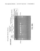 RARE CELL ANALYSIS USING SAMPLE SPLITTING AND DNA TAGS diagram and image