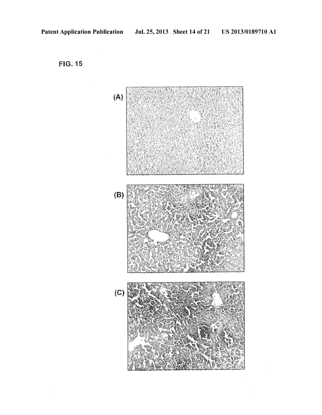 Method And Assay Kit For Detection Of Toxicity Induced By Pyrrolizidine     Alkaloids - diagram, schematic, and image 15