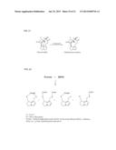 Method And Assay Kit For Detection Of Toxicity Induced By Pyrrolizidine     Alkaloids diagram and image