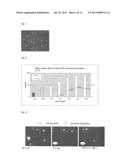 METHOD FOR THE DETECTION AND/OR QUANTIFICATION OF THE INTERACTION OF     PLATELETS WITH INTERACTION PARTNERS diagram and image