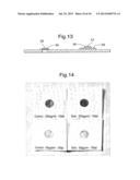 ENZYME DETECTION diagram and image