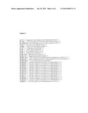 MODIFIED TRANSKETOLASE AND USE THEREOF diagram and image