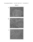 COMPOSITIONS AND METHODS FOR REPROGRAMMING MAMMALIAN CELLS diagram and image