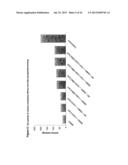 ARTIFICIAL CELLULOSOME AND THE USE OF THE SAME FOR ENZYMATIC BREAKDOWN OF     RESILIENT SUBSTRATES diagram and image