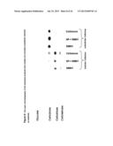 ARTIFICIAL CELLULOSOME AND THE USE OF THE SAME FOR ENZYMATIC BREAKDOWN OF     RESILIENT SUBSTRATES diagram and image